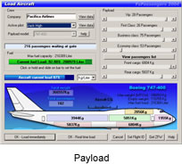 Screenshot - Payload