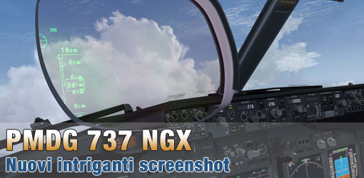 Nuovi Screenshots per PMDG 737 NGX