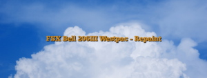 FSX Bell 206III Westpac – Repaint